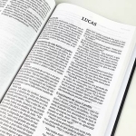 Bíblia de Estudo com Teologia Sistemática | NVI | Capa Dura Preta